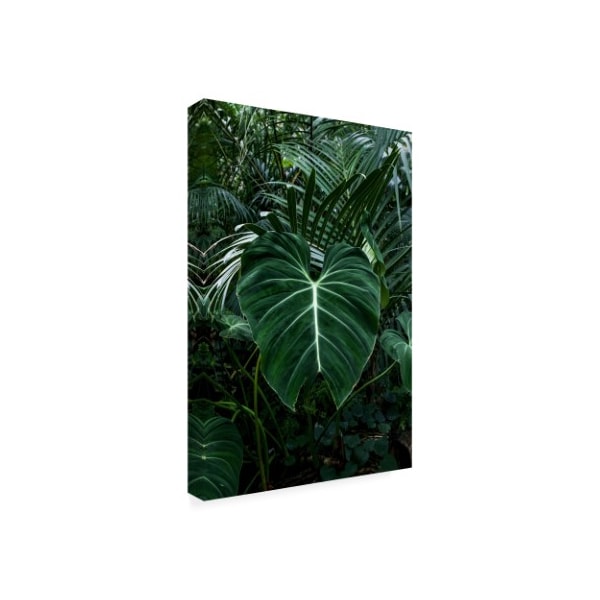 PhotoINC Studio 'Tropical 3' Canvas Art,30x47